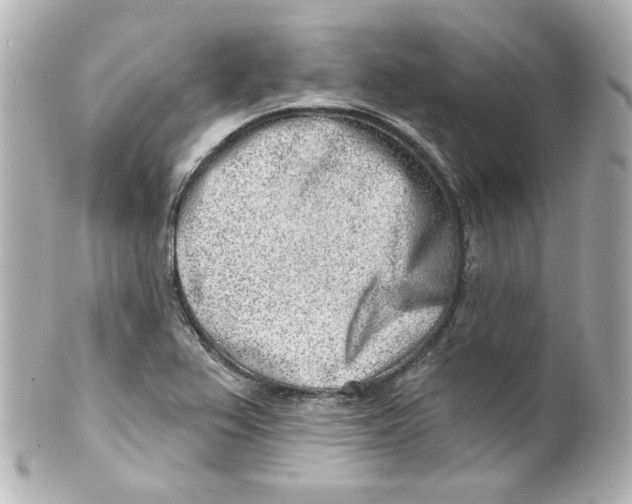 X0000101471367200808041055