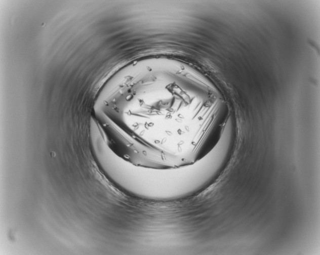 X0000101471369200808041055