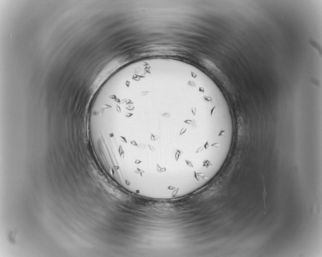 X0000101471370200808041055