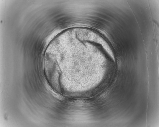 X0000101471371200808041055