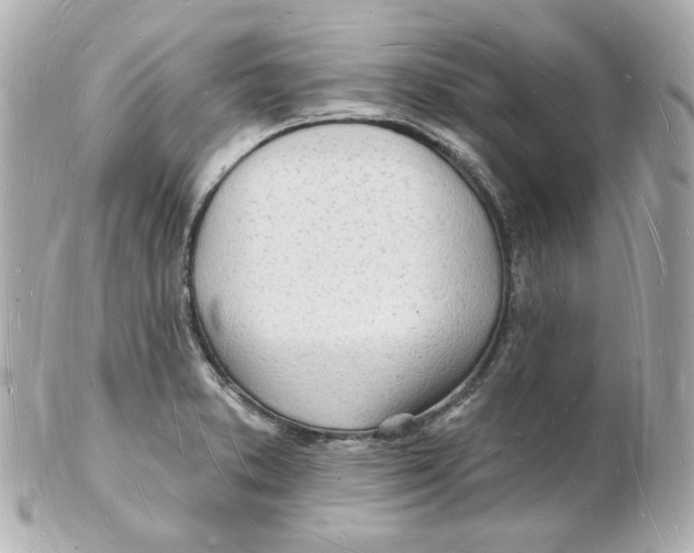 X0000101471373200808041055