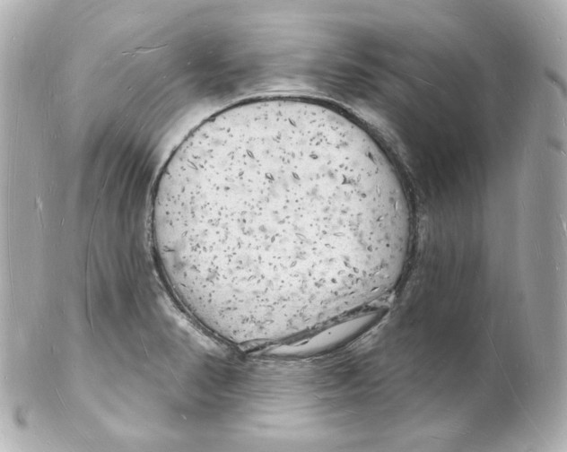 X0000101471374200808041055