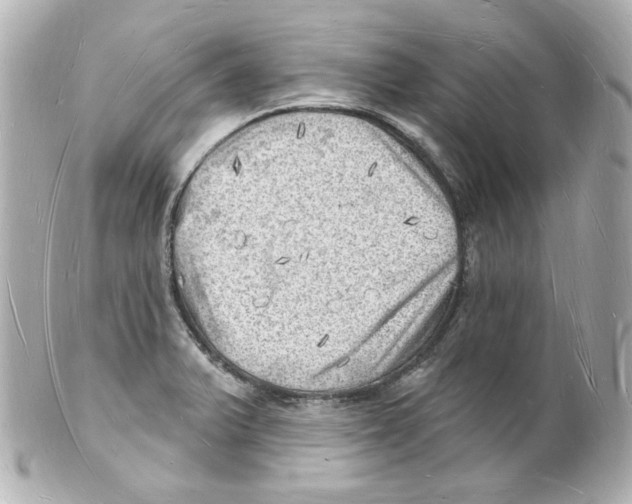 X0000101471375200808041055