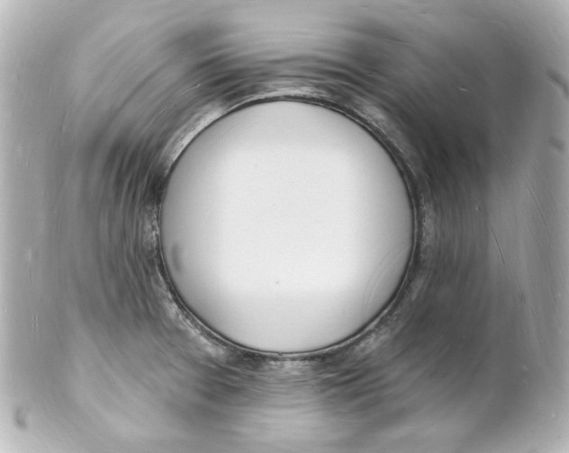 X0000101471377200808041055