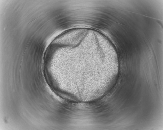 X0000101471379200808041055