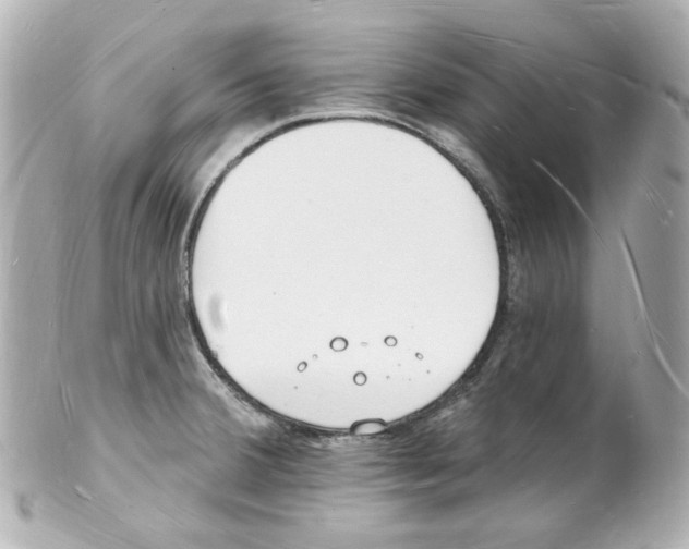 X0000101471380200808041055