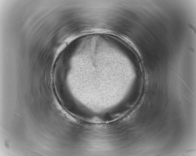 X0000101471381200808041055