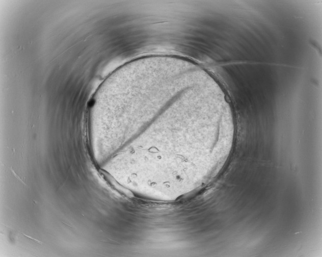 X0000101471382200808041055