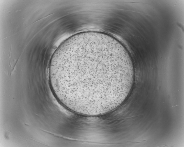 X0000101471383200808041055