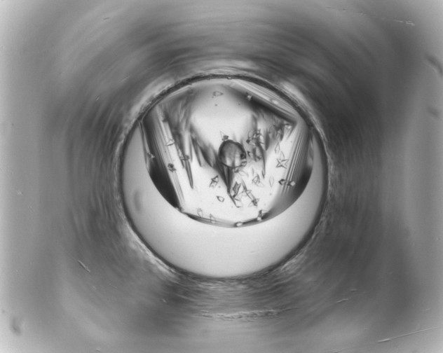 X0000101471384200808041055