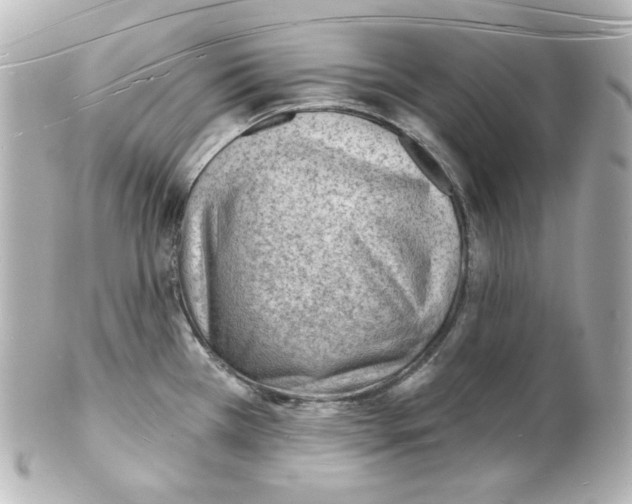 X0000101471385200808041055