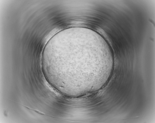 X0000101471386200808041055