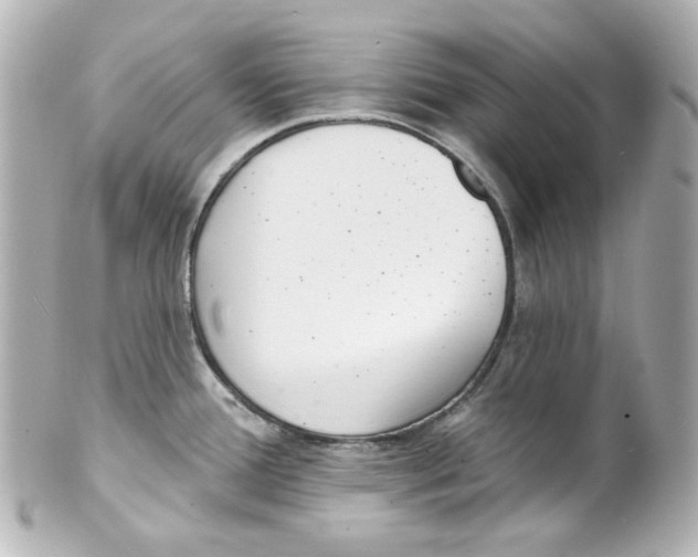 X0000101471388200808041055