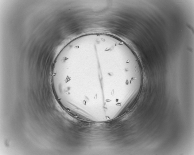 X0000101471390200808041055