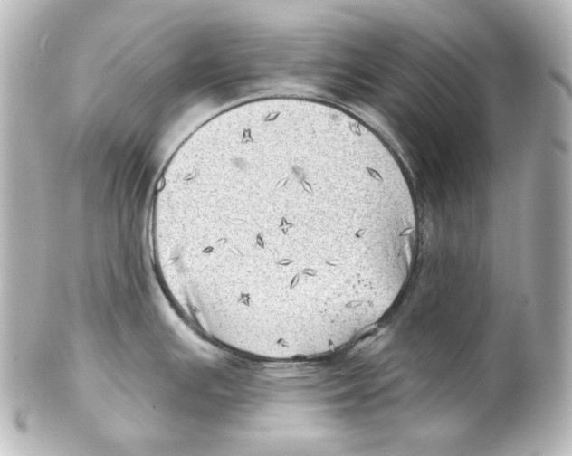 X0000101471391200808041055