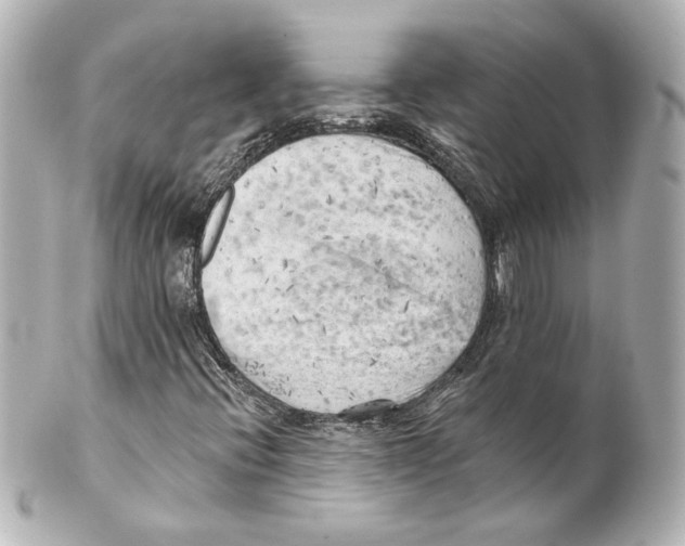 X0000101471396200808041054