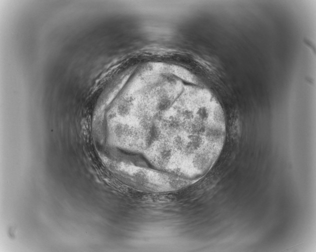 X0000101471397200808041054