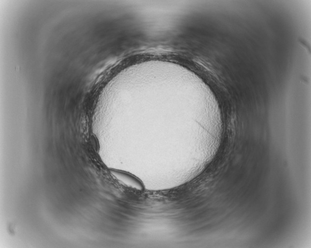 X0000101471398200808041054