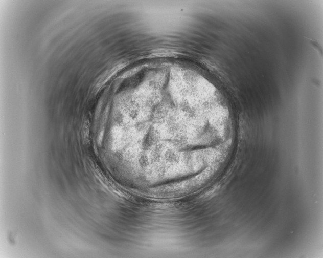 X0000101471401200808041054