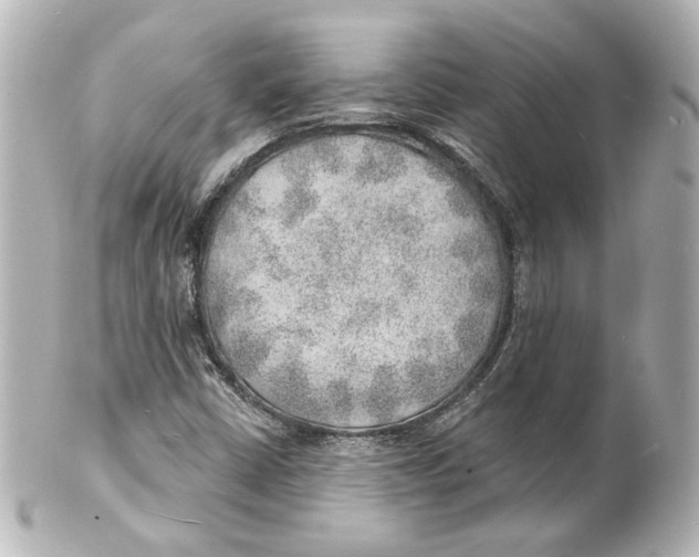 X0000101471402200808041054