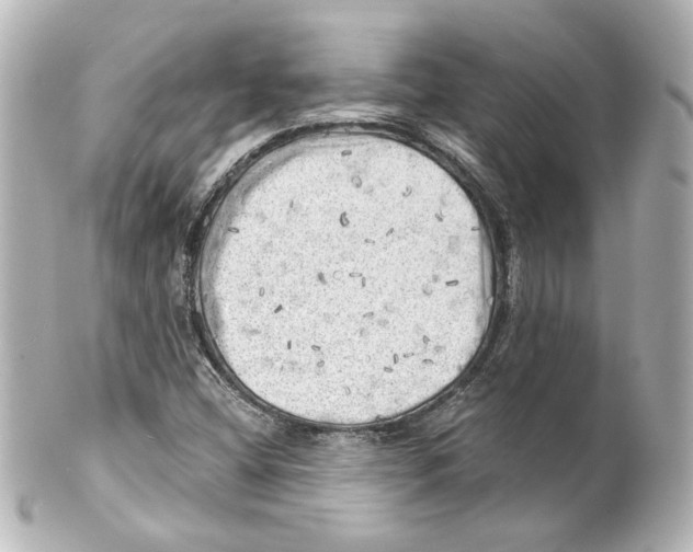 X0000101471404200808041054