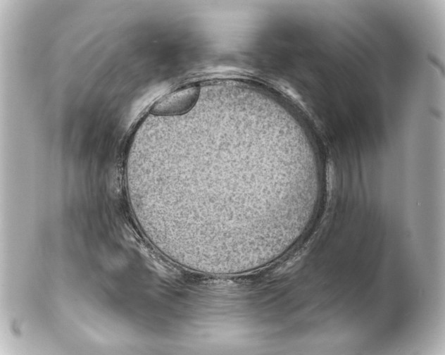 X0000101471405200808041054