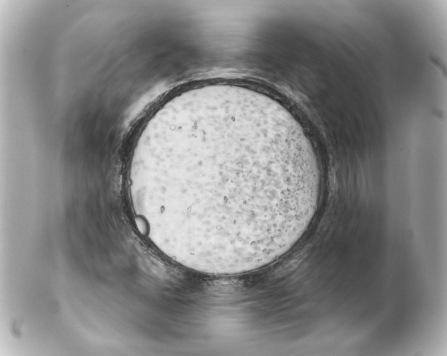 X0000101471406200808041054