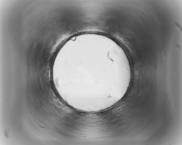 X0000101471408200808041054