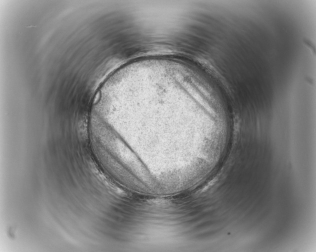 X0000101471409200808041054