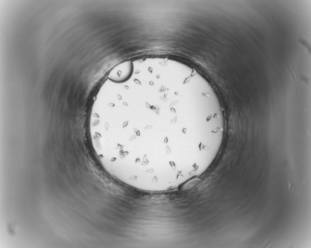 X0000101471410200808041054