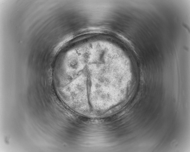 X0000101471411200808041054