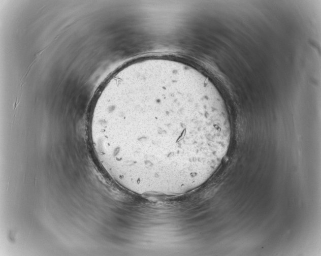 X0000101471412200808041054