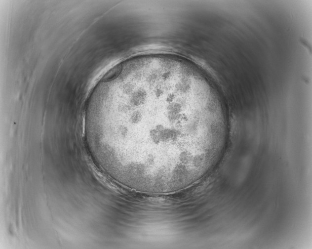 X0000101471413200808041054