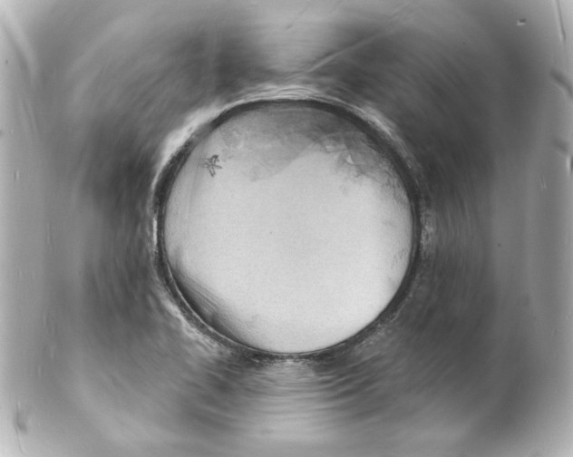 X0000101471414200808041054