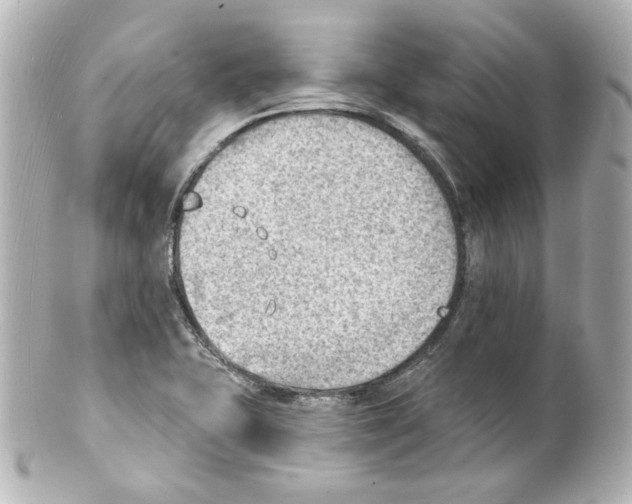 X0000101471415200808041054