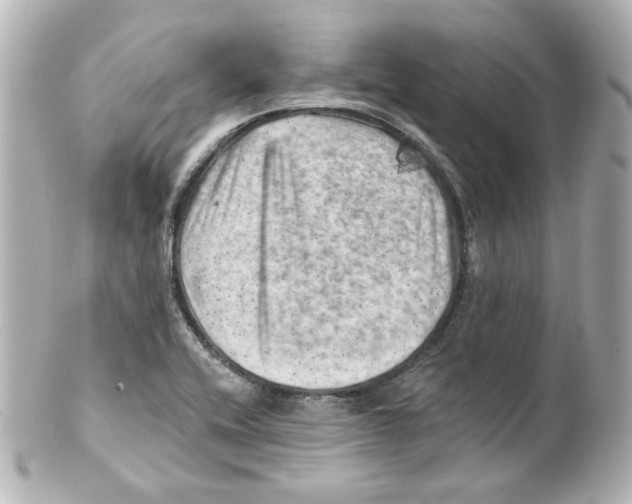 X0000101471416200808041054