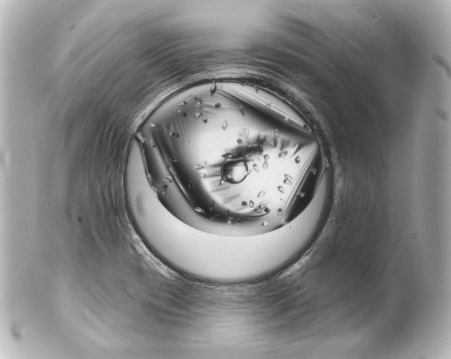 X0000101471417200808041054