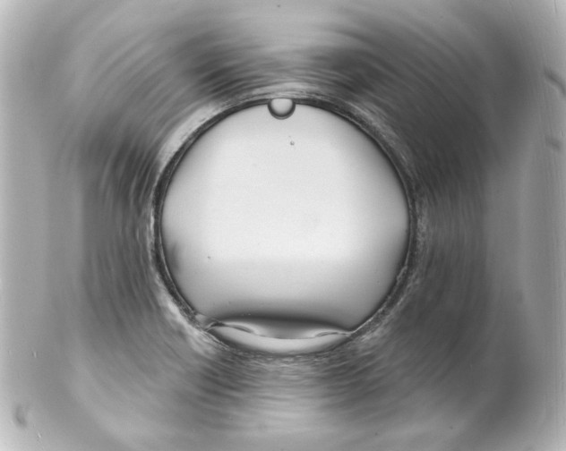 X0000101471418200808041054