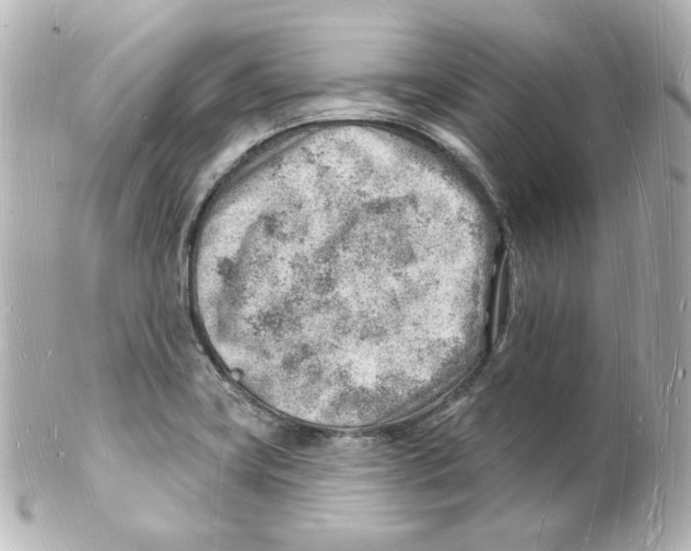 X0000101471419200808041054