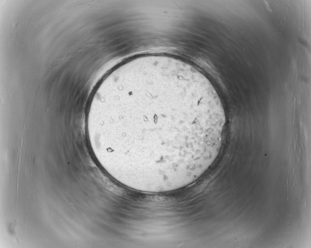 X0000101471420200808041054