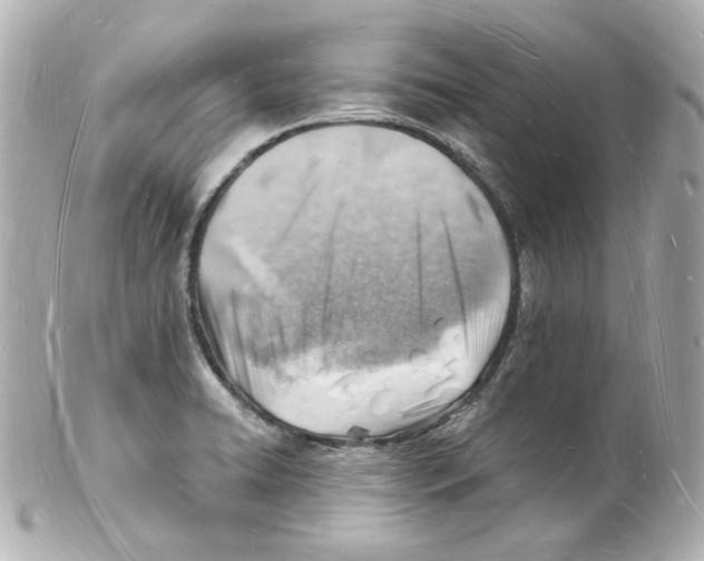 X0000101471422200808041054