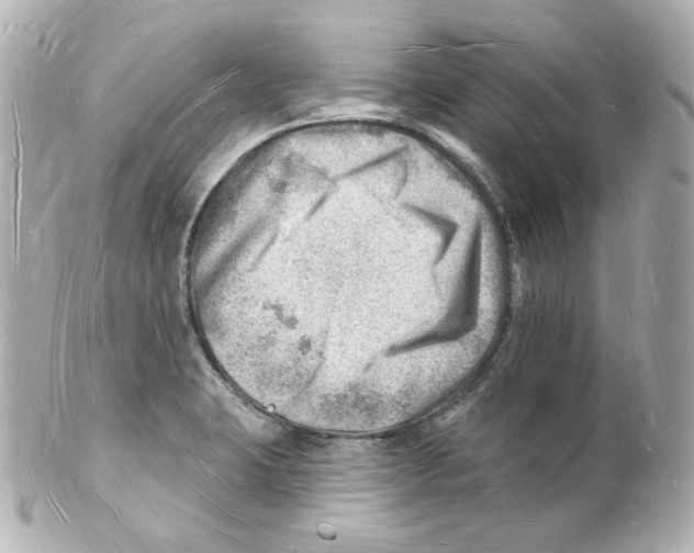 X0000101471423200808041054