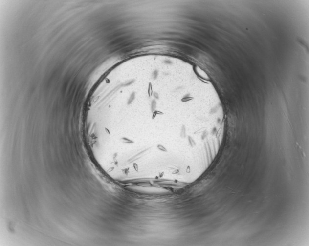 X0000101471426200808041055