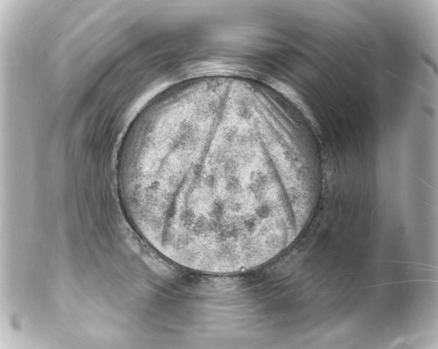 X0000101471427200808041055