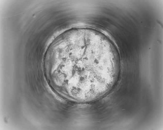 X0000101471429200808041055