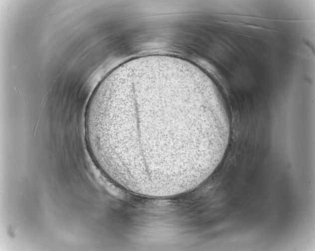 X0000101471431200808041055