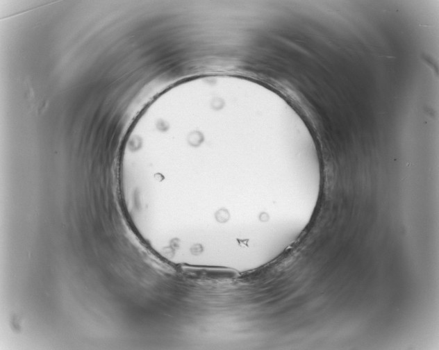 X0000101471432200808041055