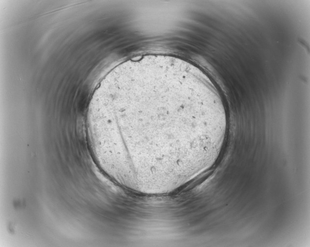 X0000101471433200808041055