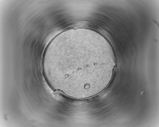 X0000101471434200808041055