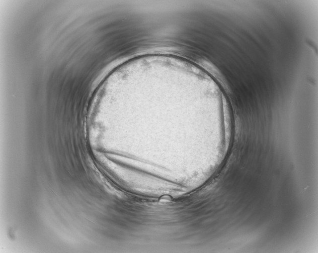 X0000101471436200808041055